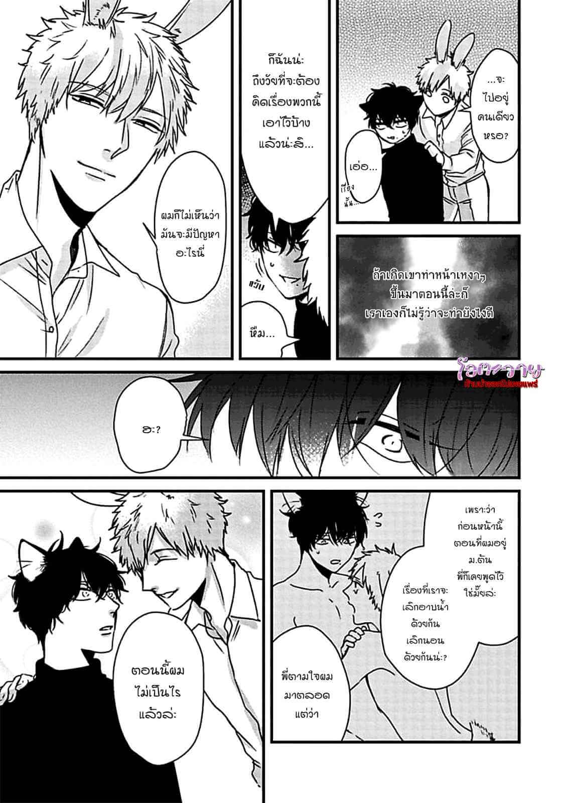 เจ้าเหมียวที่รัก USAGI TO NEKO NO HATSUJOU JIJOU (12)