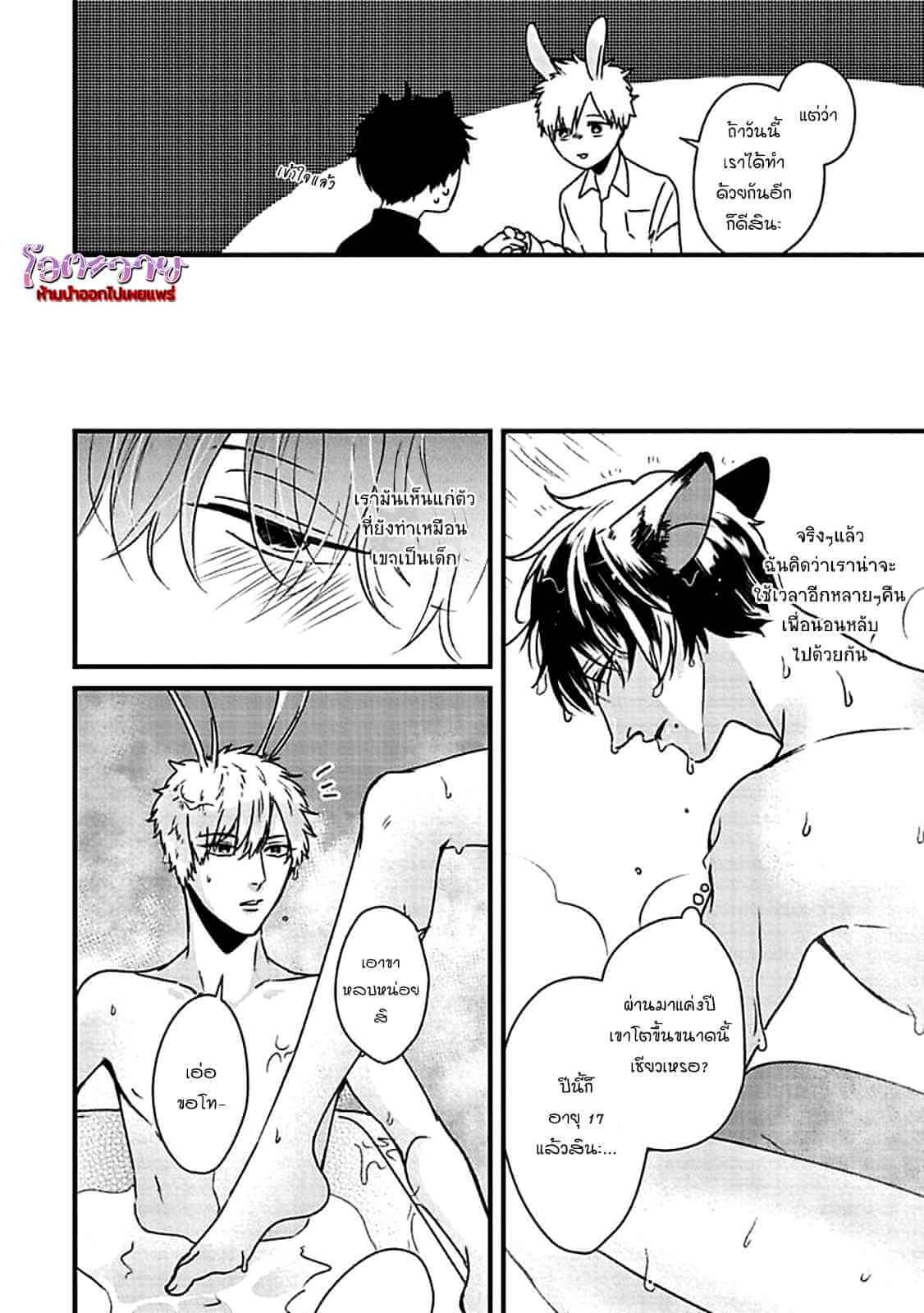 เจ้าเหมียวที่รัก USAGI TO NEKO NO HATSUJOU JIJOU (13)