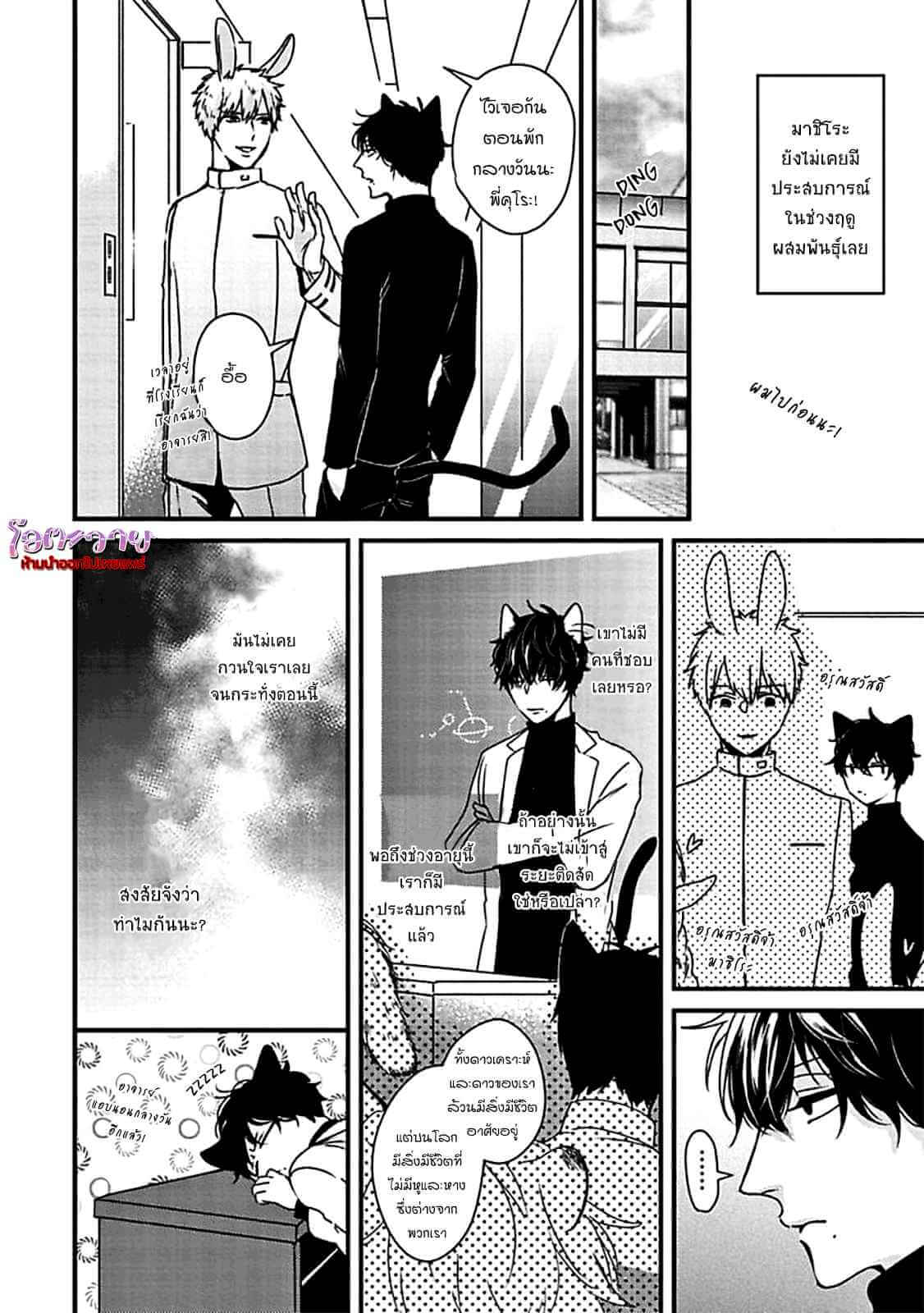 เจ้าเหมียวที่รัก USAGI TO NEKO NO HATSUJOU JIJOU (9)