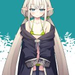 ครึ่งมนุษย์ ครึ่งต่างดาว 1 [Petapan (Akino Sora)] Isekai Kita 1