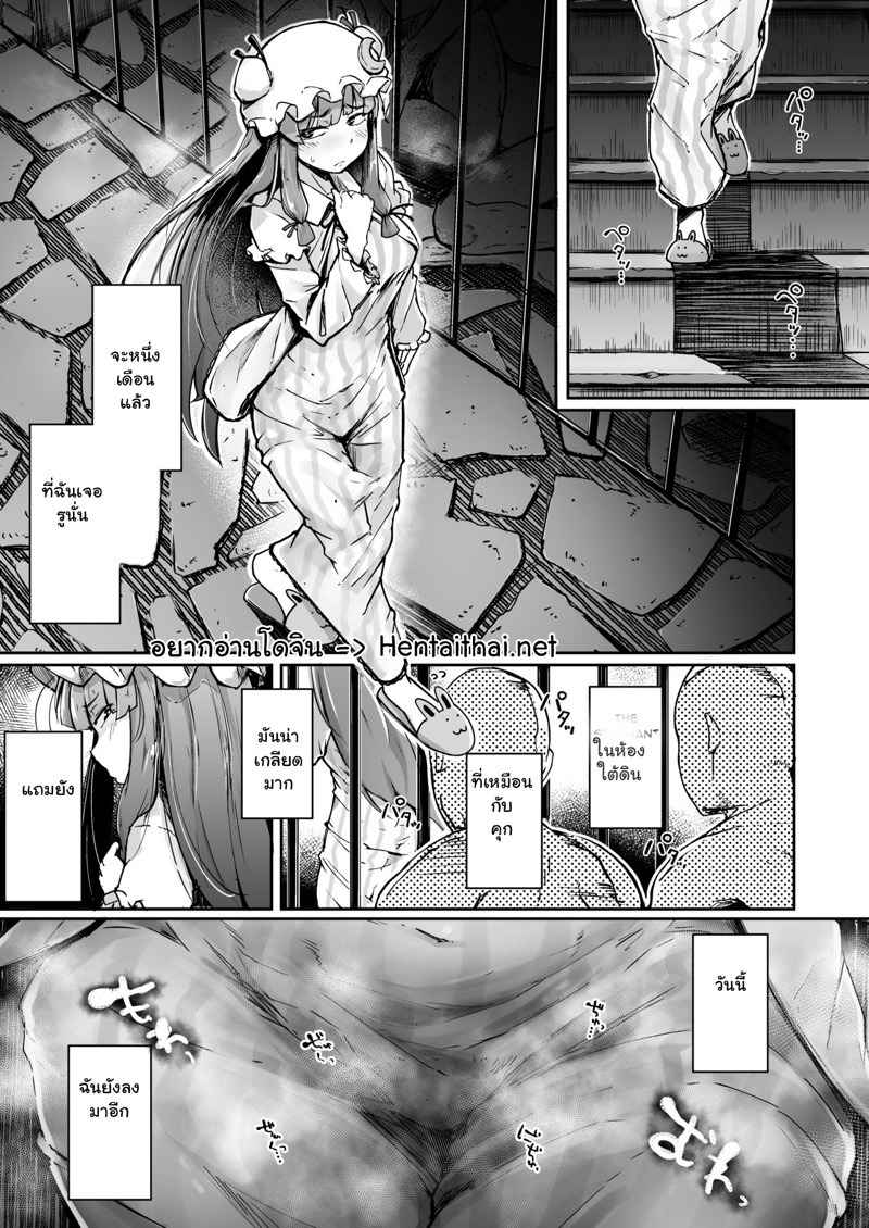 สาวน้อยอยากโดนสักที 2 [Jikahatsudensho (flanvia)] The Hole and Library 2 (29)
