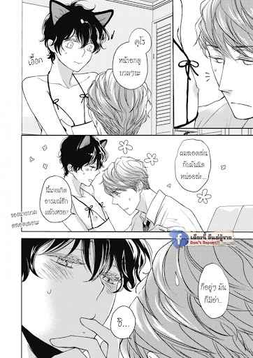 เจ้าแมวเหมียวที่หลงมา 5(จบ) The Series NEKO TO SPICA CH.5(จบ) (5)
