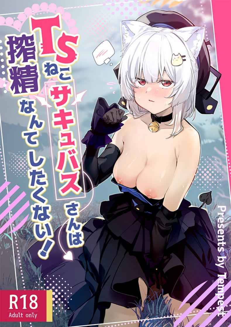 ฉันกลายเป็นแมวซัคคิวบัส 1 [Tempest (Uno Ryoku)] The TS Cat Succubus 1 1