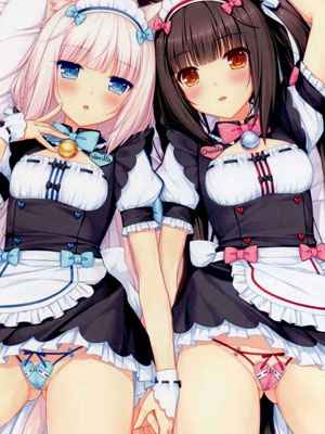 ฉันรับรองว่านายต้องชอบ (C84) [NEKO WORKs] Neko Para01 (1)