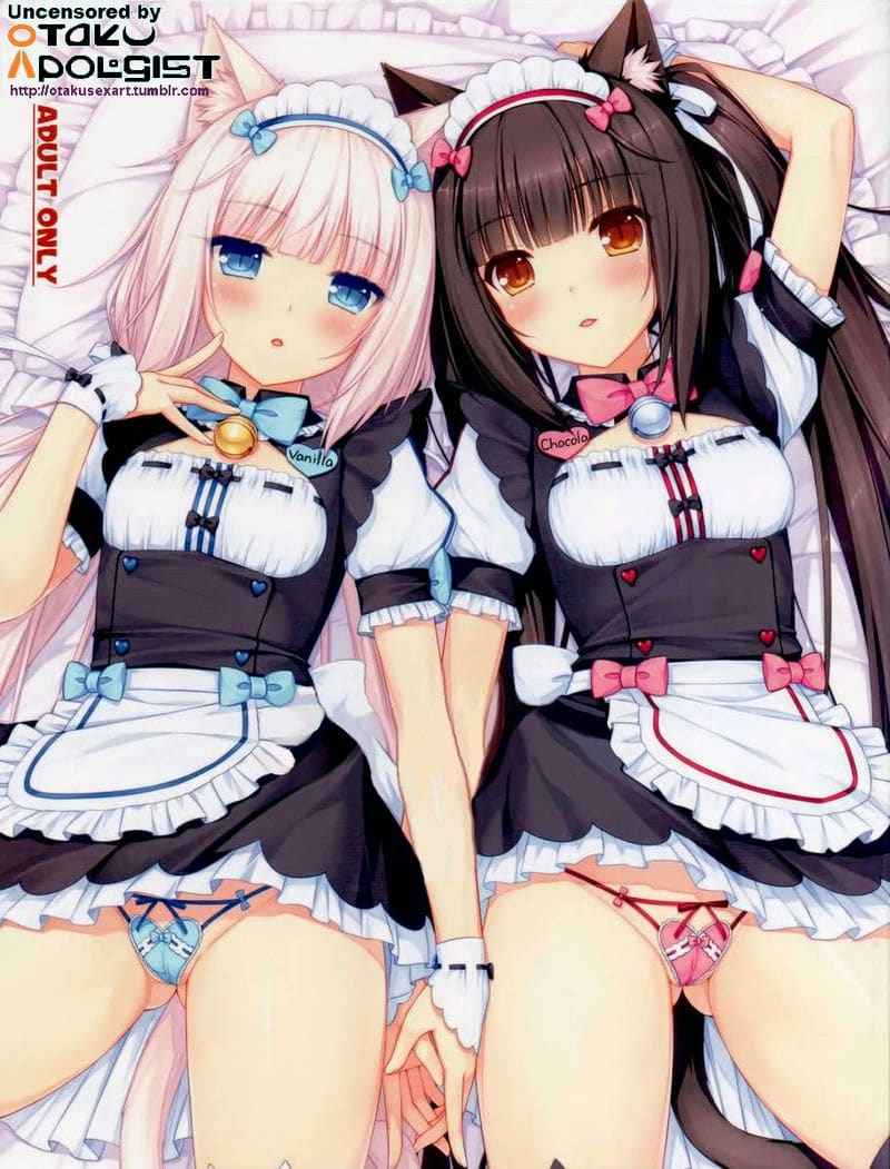 ฉันรับรองว่านายต้องชอบ (C84) [NEKO WORKs] Neko Para01