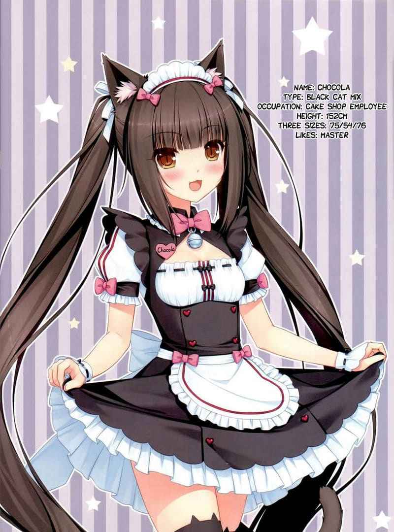ฉันรับรองว่านายต้องชอบ (C84) [NEKO WORKs] Neko Para02
