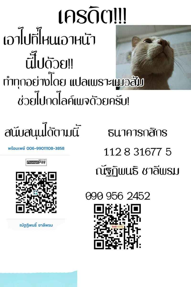 สะกดจิต ยัยตัวร้าย 2 (C96) [micro page] JC Saimin de Seikyouiku 214