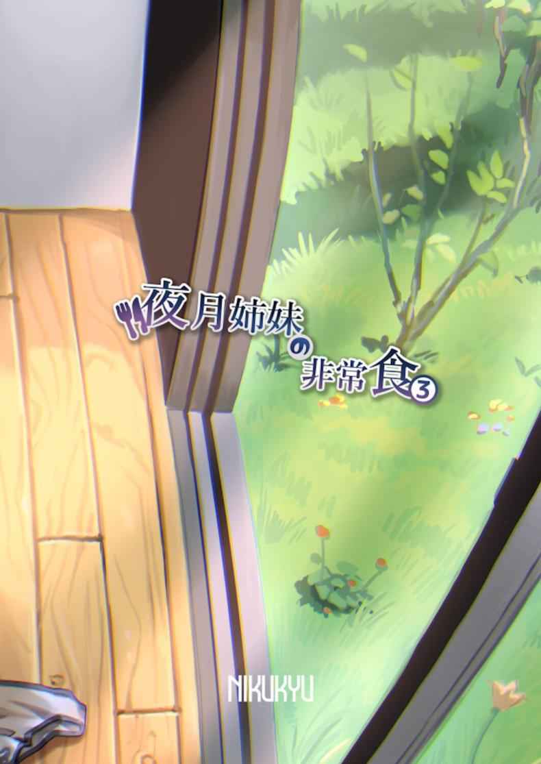 อาหารฉุกเฉินของของมนุษย์ 3 Digital Yazuki Shimai no Hijou Shoku 316