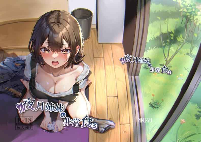 อาหารฉุกเฉินของของมนุษย์ 3 Digital Yazuki Shimai no Hijou Shoku 317